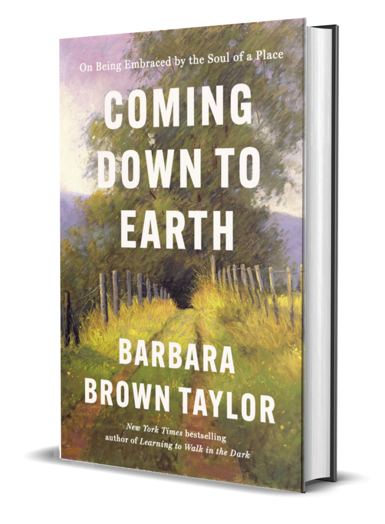Coming Down to Earth 3D Book Image